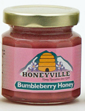 Honeyville coupons 2018